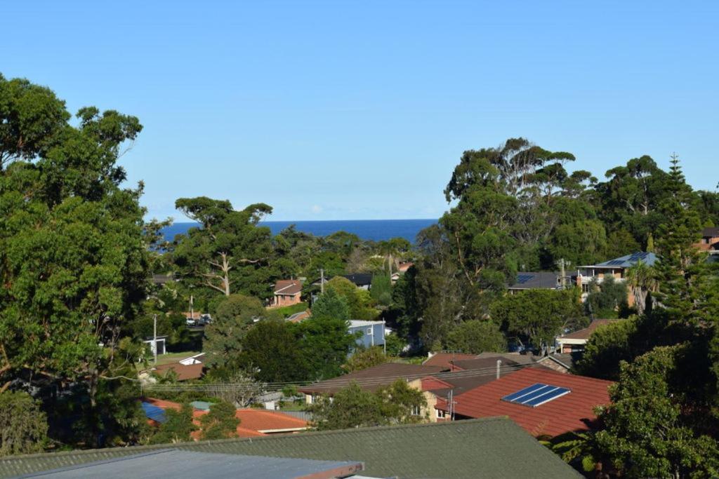 Mollymook Caravan Park Bagian luar foto