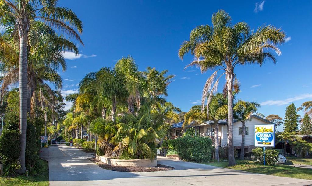 Mollymook Caravan Park Bagian luar foto